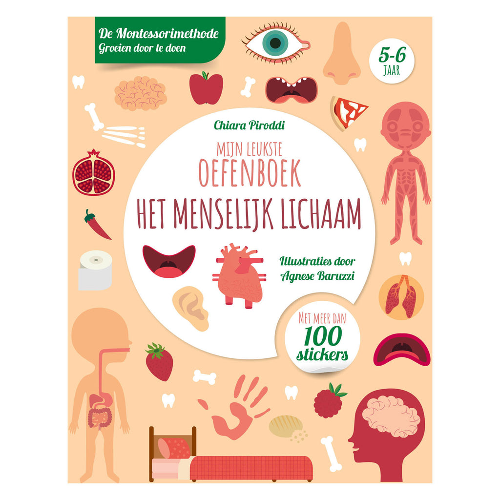 Rebo Publishers - Rebo Publishers Menselijk lichaam-leukste oefenboek