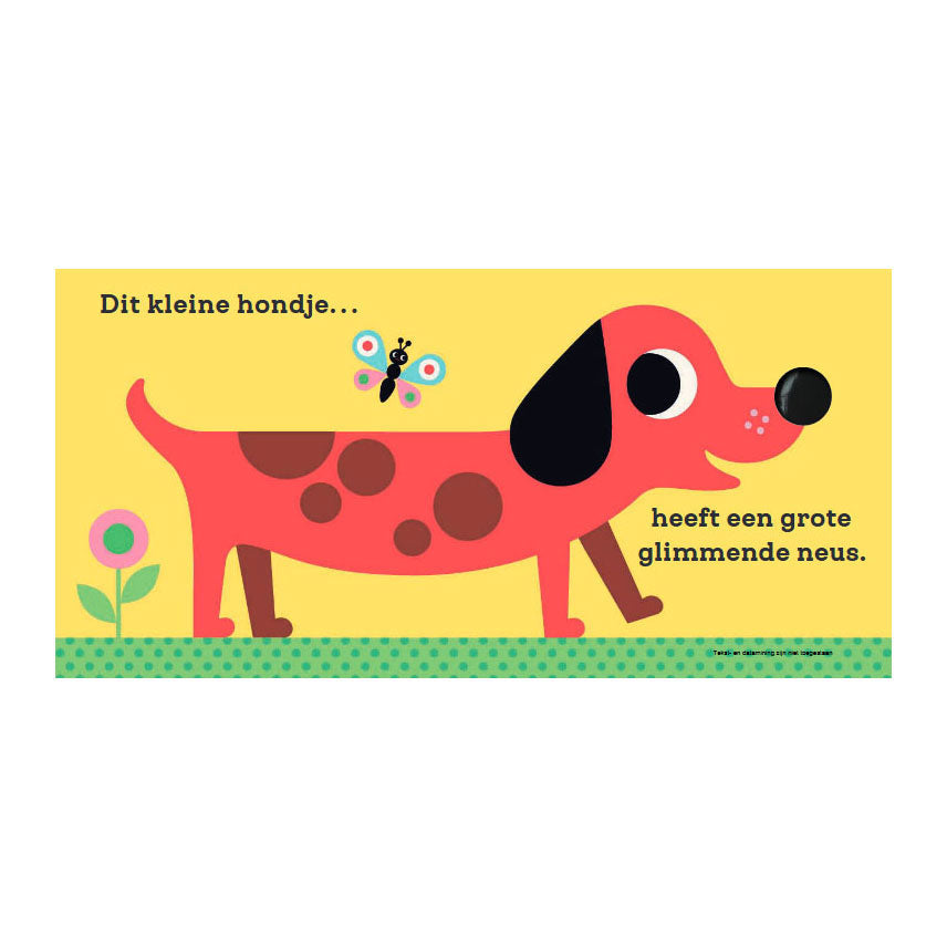 Gottmer Uitgevers Groep - Gottmer Uitgevers Groep Dit kleine hondje - voelboekje