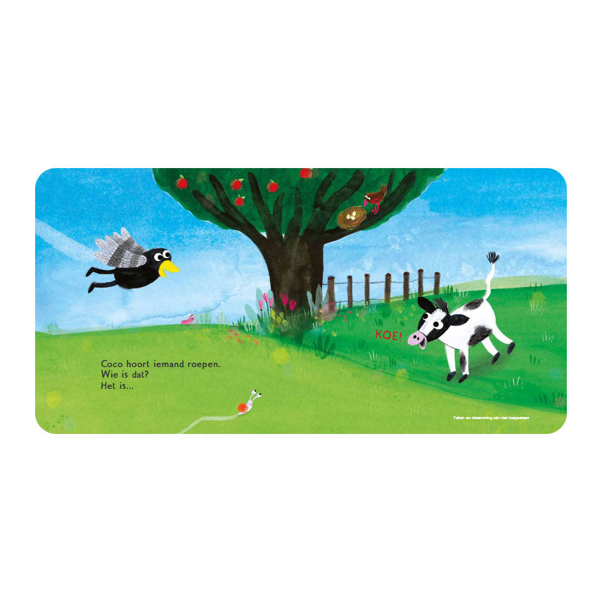 Gottmer uitgevers groep kartonboek: coco in de wei 1+