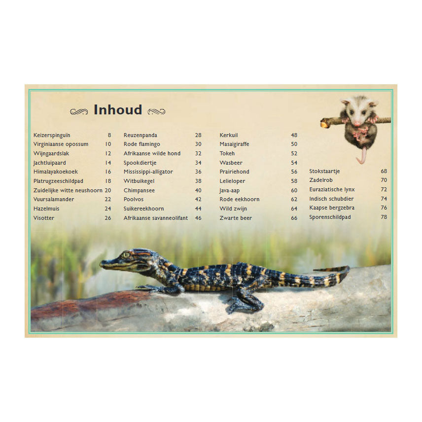 Gottmer Uitgevers Groep - Gottmer Uitgevers Groep Het allermooiste boek over babydieren