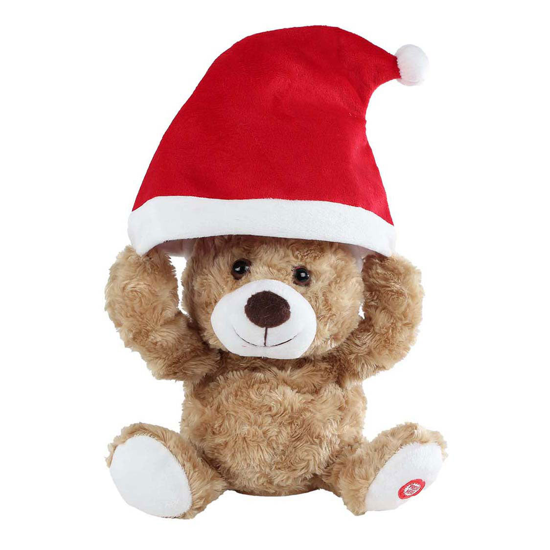 Take me home dansende beer met kerstmuts en muziek