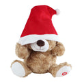 Take me home dansende beer met kerstmuts en muziek