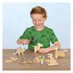 SES Creative - Creative Ses timmerset dino