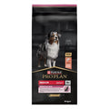 Pro plan Plan dog adult medium sensitive skin