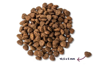 Renske Super premium poulet adulte sans céréales