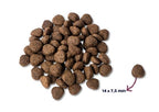 Renske Super premium saumon adulte sans céréales