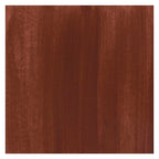 Bruynzeel - Ecola plakkaatverf fles 16ml brown 400