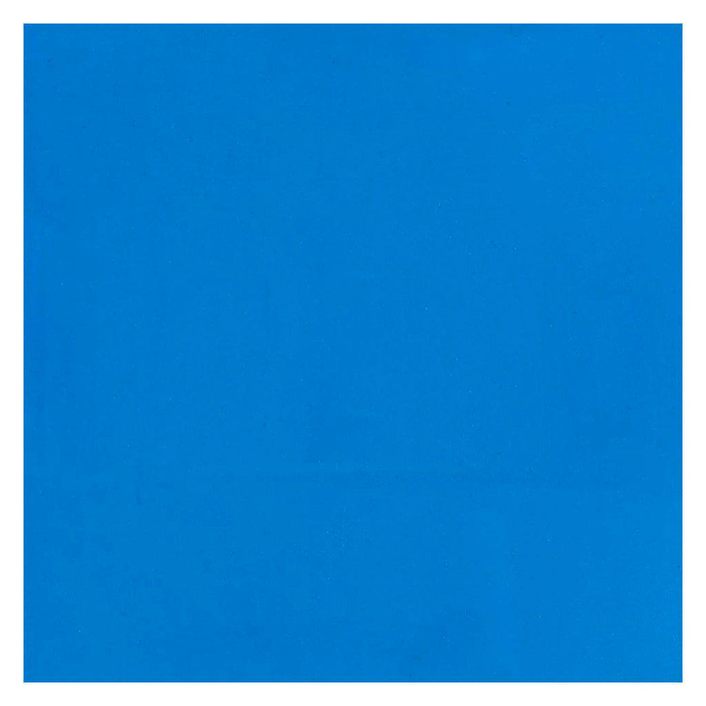Bruynzeel - Ecola plakkaatverf fles 16ml lichtblauw 501