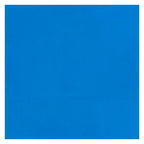 Bruynzeel - Ecola plakkaatverf fles 16ml lichtblauw 501