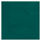 Bruynzeel - Ecola plakkaatverf fles 16ml donkergroen 602
