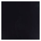 Bruynzeel - Ecola plakkaatverf fles 16ml zwart 700