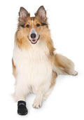 Trixie - walker care beschermschoenen zwart 2 stuks