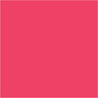 BIC - Https://www.cchobby.nl/-visa-color-kleurstiften-lijndikte-3-mm-roze-12-stuk-1-doos