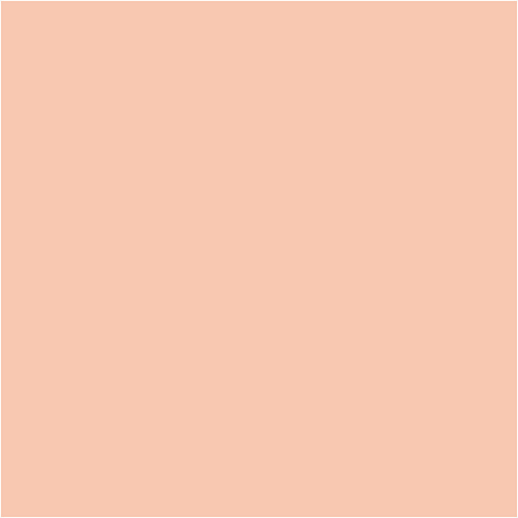 BIC - Https://www.cchobby.nl/-visa-color-kleurstiften-lijndikte-3-mm-licht-beige-12-stuk-1-doos