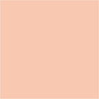 BIC - Https://www.cchobby.nl/-visa-color-kleurstiften-lijndikte-3-mm-licht-beige-12-stuk-1-doos