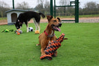 Happy pet nuts for knots extreme spoel 8 vorm tugger grijs oranje