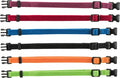 Trixie puppy halsband set zwart rood blauw appel papaya orchidee