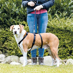 Trixie - hondentuig stay zwart