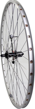 Roland Roue arrière 28 pattes cass 7s ZAC19 argent acier inoxydable spk