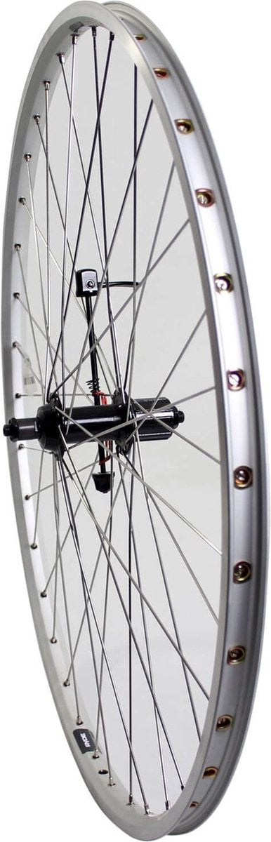 Roland Roue arrière 28 pattes cass 7s ZAC19 argent acier inoxydable spk