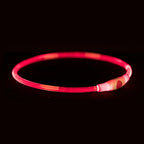 Trixie - lichtgevende halsband usb flash light oplaadbaar tpu rood