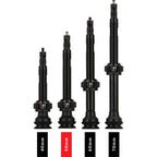 Trivio - Trivio - tubeless ventiel zwart fvt