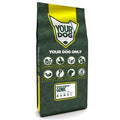 Yourdog Bosanksi ostrodlaki gonic pup