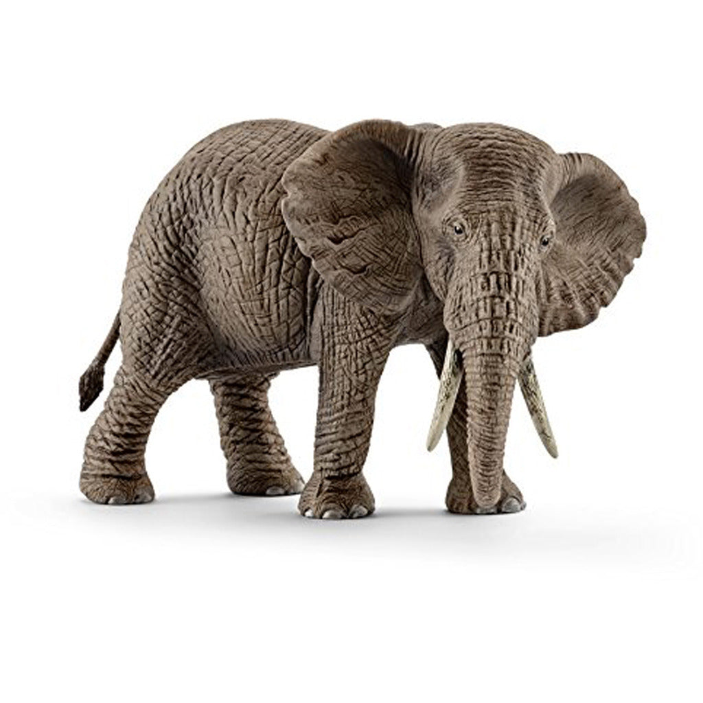Schleich wild life afrikaanse olifant vrouwtje 14761