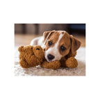 Ravensburger – cuddly buddies – legpuzzel – 500 stukjes