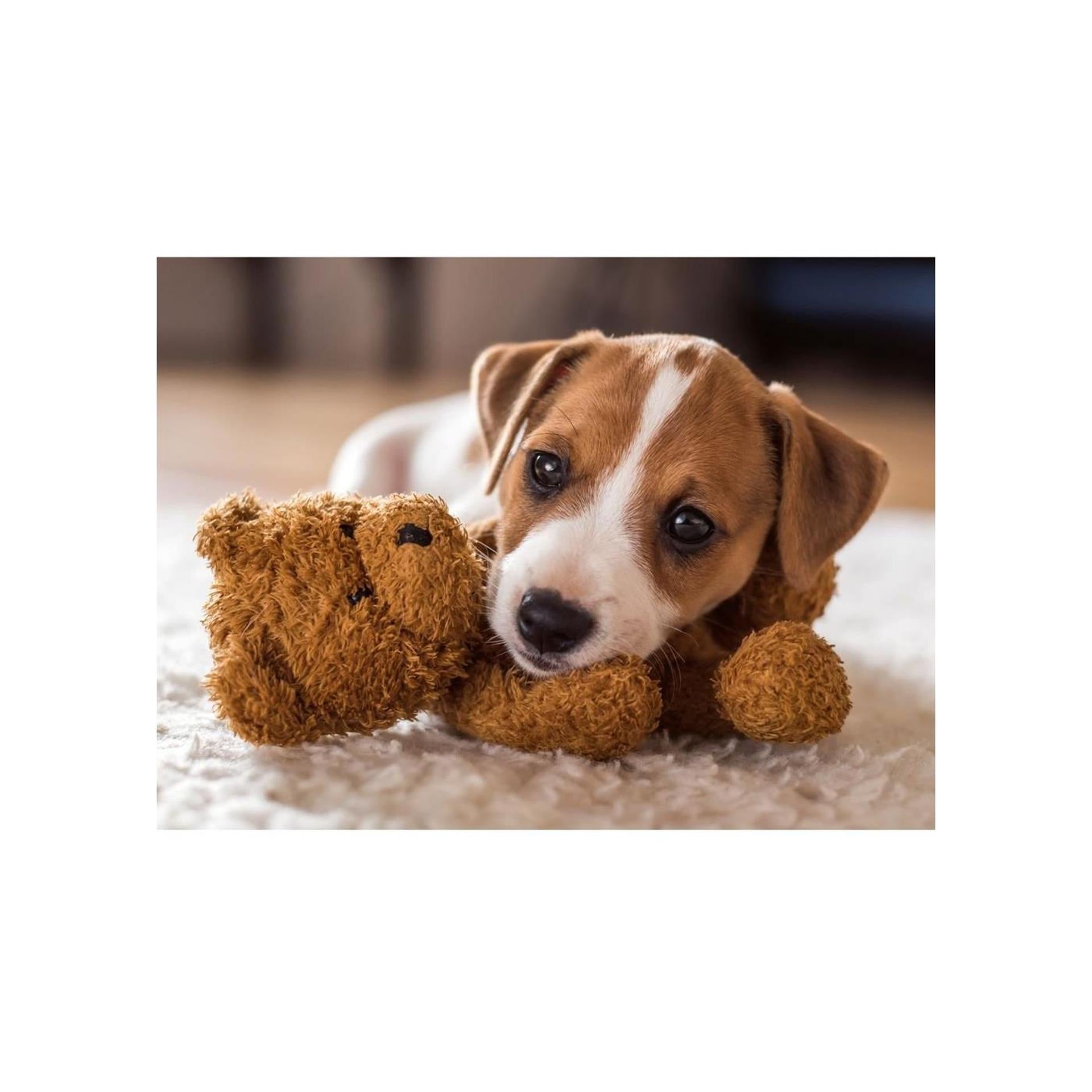 Ravensburger – cuddly buddies – legpuzzel – 500 stukjes