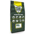 Yourdog Glen of imaal terri�r volwassen