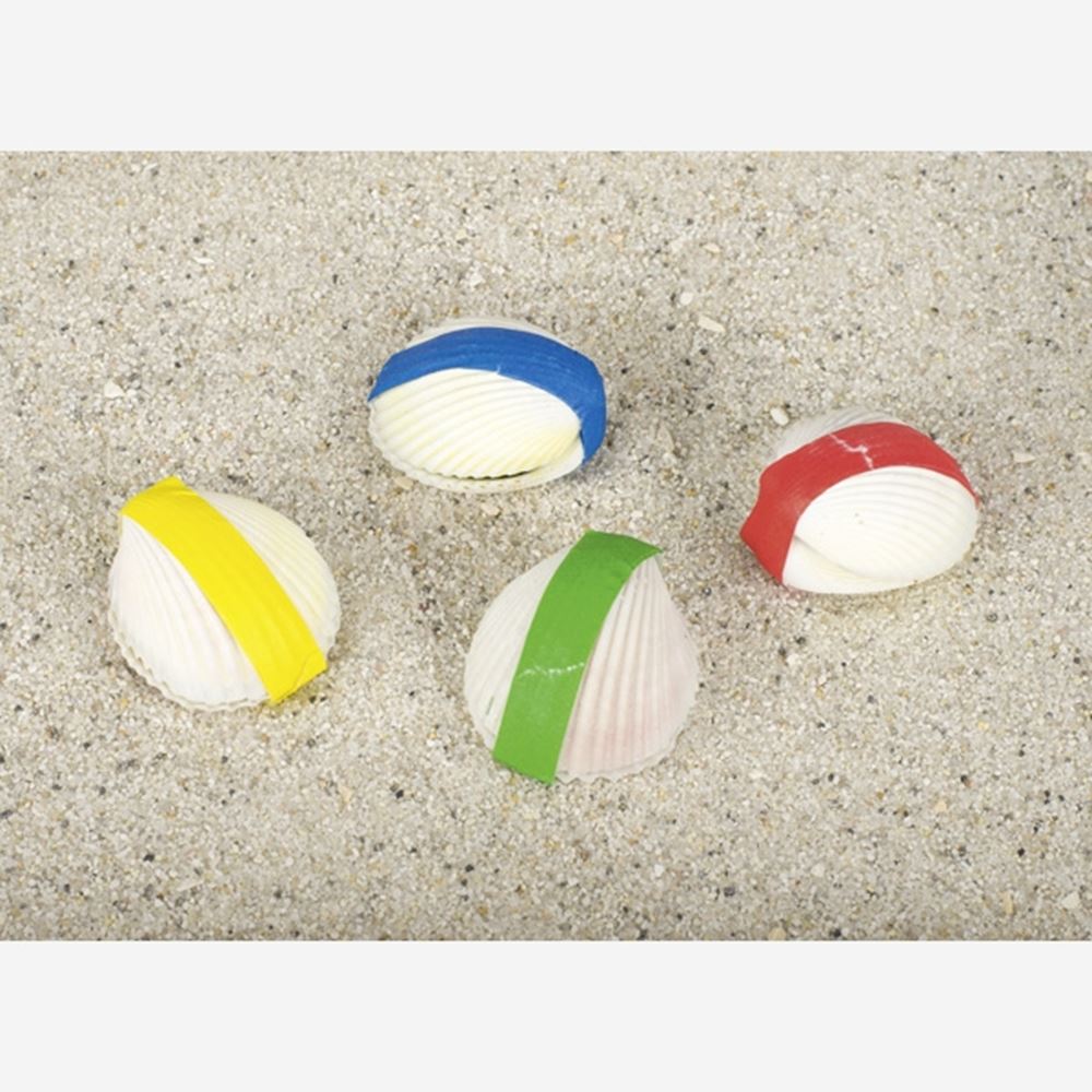 Goki magische schelp. 4 cm. 4 assortie. | 12 stuks