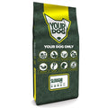 Yourdog Sloughi senior