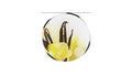 Cornat sa1029 afvoerplug decor vanilla cream 39.5mm