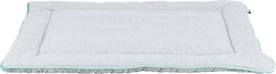 Tapis de salon Trixie Junior gris clair / vert menthe