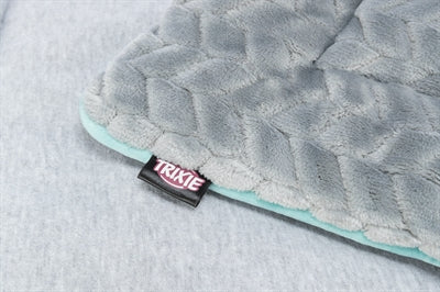 Tapis de salon Trixie Junior gris clair / vert menthe