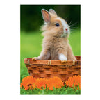 Mini puzzel lovely animals - 54st.