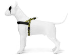 Morso - Morso norwegian hondentuig gerecycled full metal dog bruin
