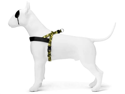 Morso - Morso norwegian hondentuig gerecycled full metal dog bruin