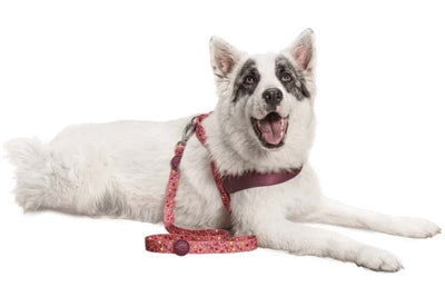 Morso - Morso hondenriem gerecycled pink think roze