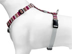Morso - Morso hondentuig h-tuig gerecycled skyline rood / roze
