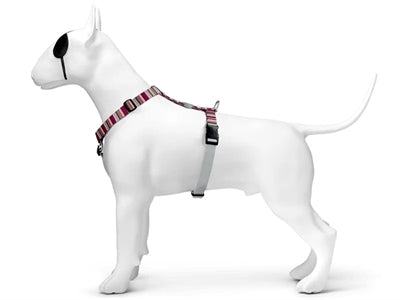 Morso - Morso hondentuig h-tuig gerecycled skyline rood / roze