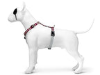 Morso - Morso hondentuig h-tuig gerecycled skyline rood / roze