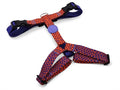 Morso - Morso hondentuig h-tuig gerecycled urban lizard rood