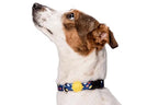 Morso - Morso halsband hond gerecycled color invaders paars