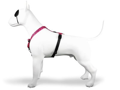 Morso - Morso hondentuig h-tuig gerecycled bubble leo roze
