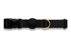 Morso - Morso halsband hond gerecycled gold caviar goud