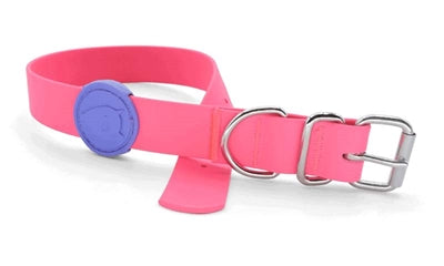 Morso - Morso halsband hond waterproof gerecycled passion pink roze
