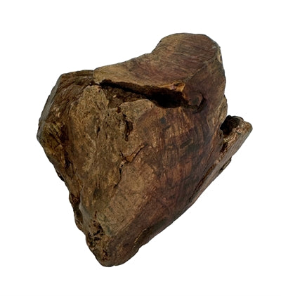 Dog Woodzzz - Dog Woodzzz kauwwortel met olijfolie