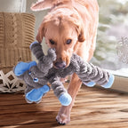 Kong Shakers crumples olifant